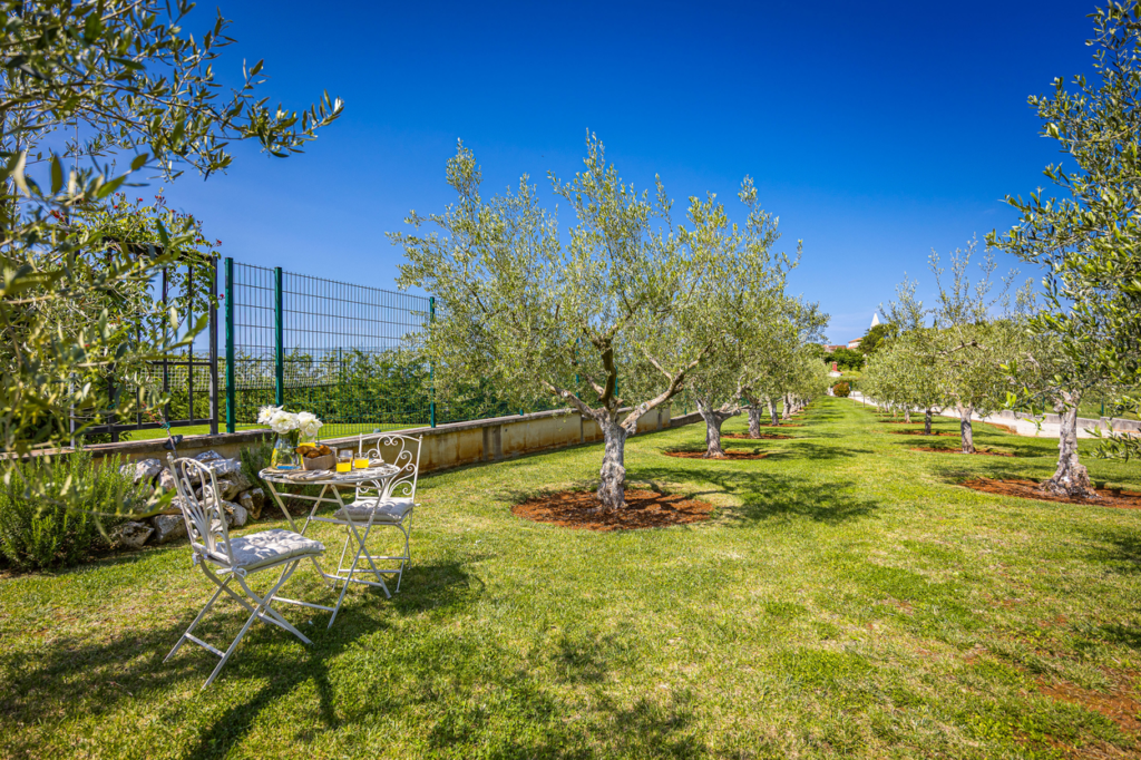 Villa-Silvia-Olive-Trees